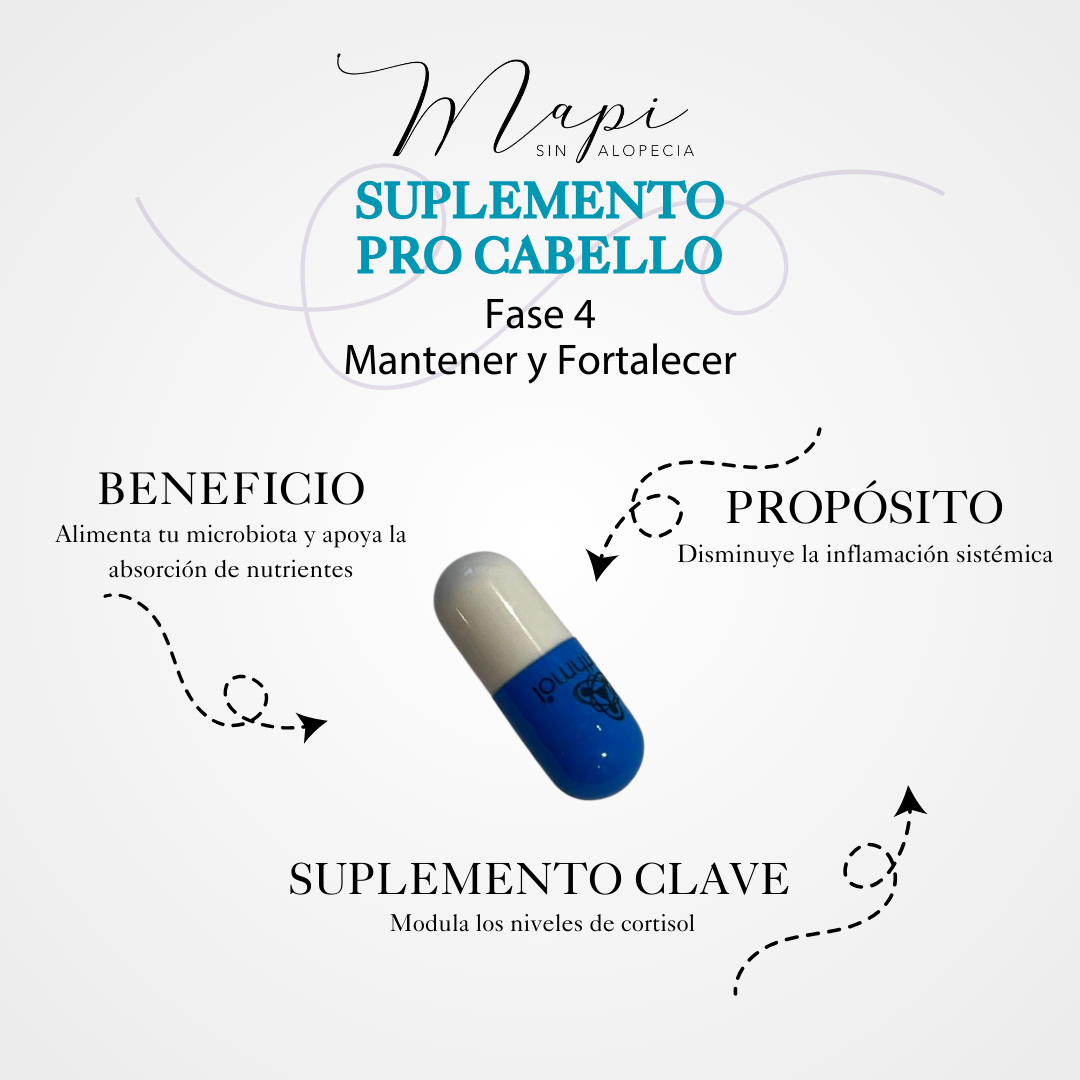 Fase 4: Mantener y Fortalecer