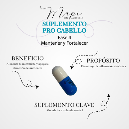 Fase 4: Mantener y Fortalecer