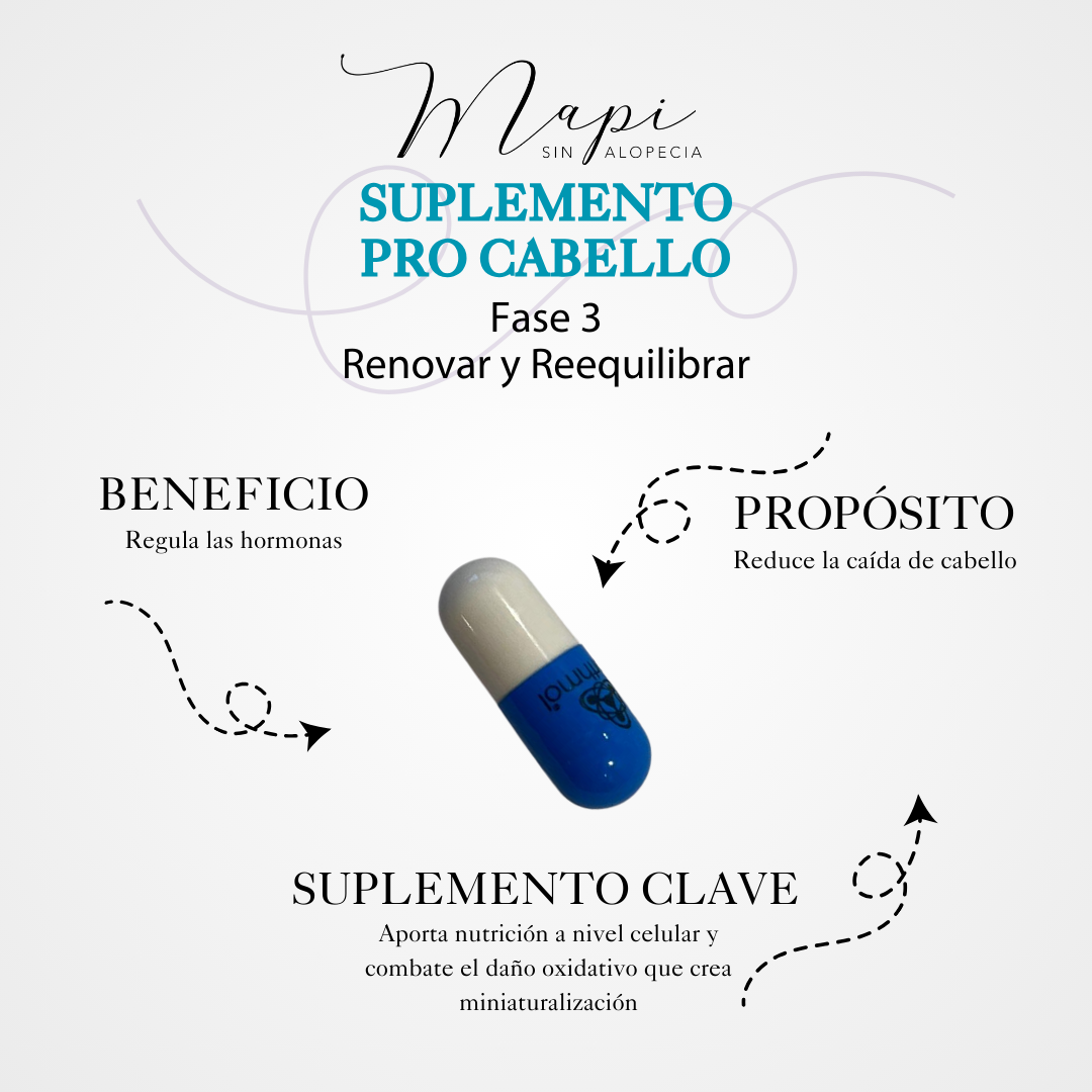Fase 3: Renovar y Reequilibrar