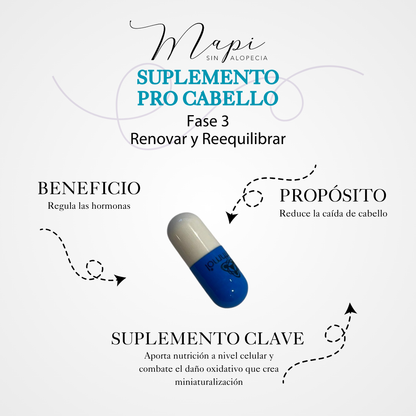 Fase 3: Renovar y Reequilibrar