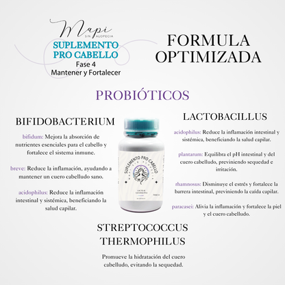 Fase 4: Mantener y Fortalecer