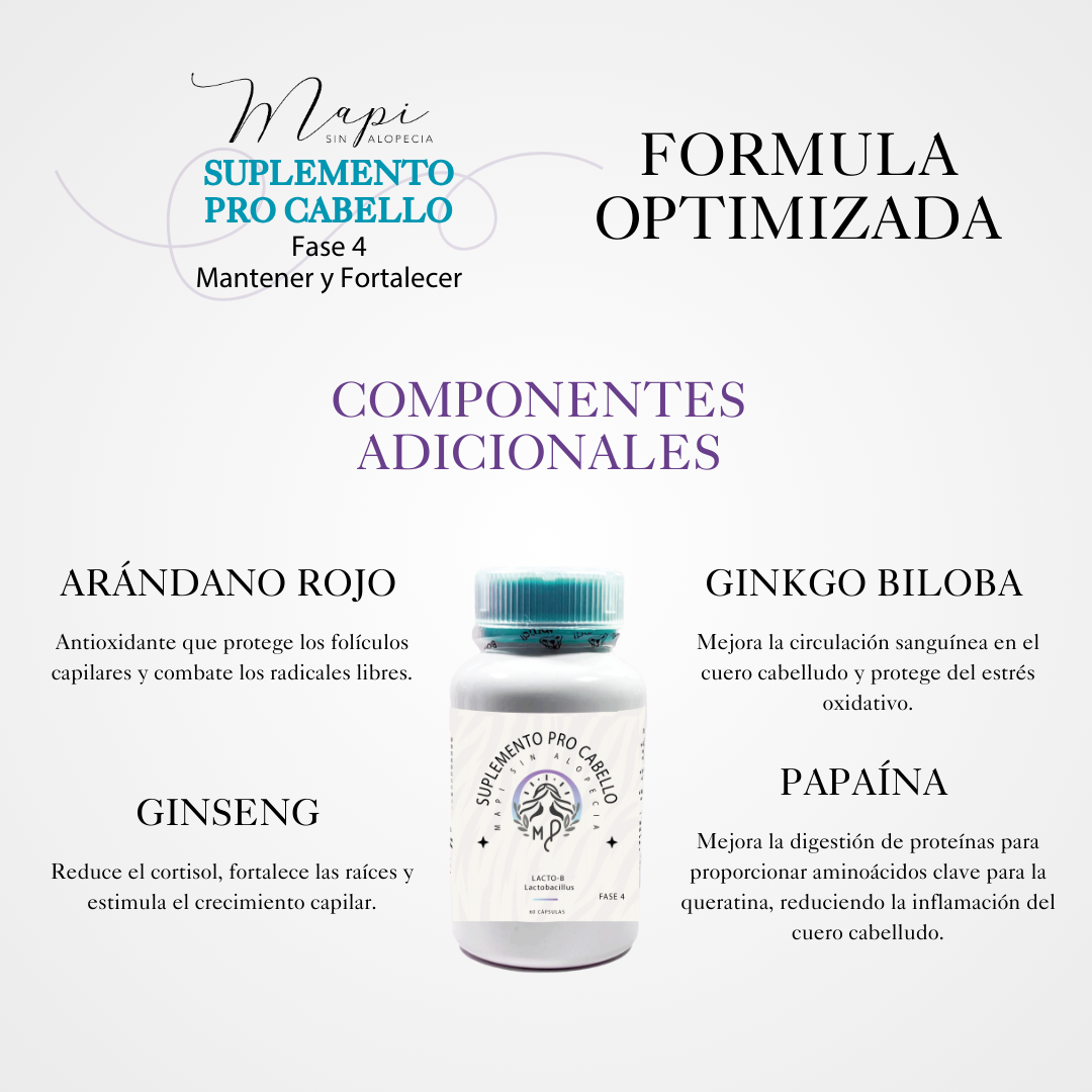 Fase 4: Mantener y Fortalecer