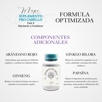 Fase 4: Mantener y Fortalecer